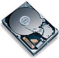 IBM 09N4248 80GB Hard Drive for Desktops
