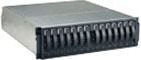 IBM Total Storage DS400 Single Controller