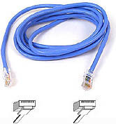 Belkin A3L791-04-BLU 4' Networking Cable