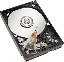 HP 160 GB Internal Hard Drive