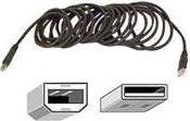 Belkin 16 ft USB Cable