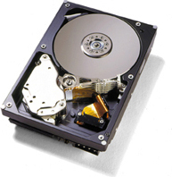 IBM 160GB Serial ATA Hard Drive