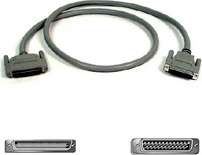 Belkin F2N1035-04-T 4' SCSI Cable