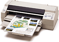 epson 1520 jpg