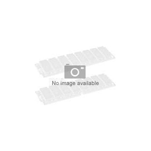Ricoh 64MB RAM 001178MIU