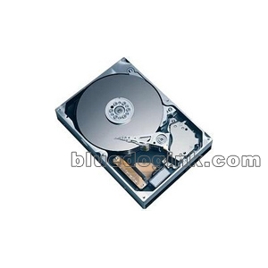 Western Digital 80GB Scorpio Hard Drive WD800VE