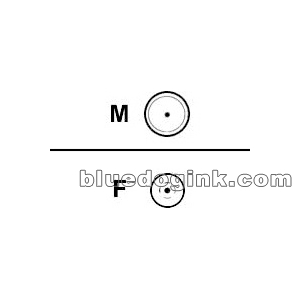 Breezecom LMR-400 10FT Extension Cable N Type Male to Female
