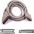 Belkin F2N973-10-T 10' SCSI Cable