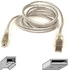 Belkin 6 ft USB Cable