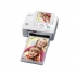 Sony DPP-FP95