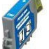 Epson T048520 Light Cyan Ink Cartridge