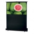 Toshiba DPRS60 Portable Projection Screen