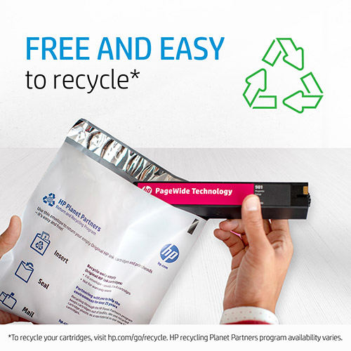 HP 72 Ink Cartridge Set | BlueDogInk.com