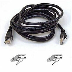 Belkin Cat5e Patch Cable (A3L79102BLK)