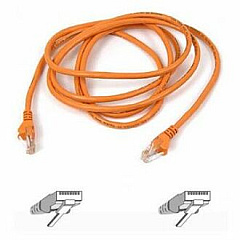 Belkin Cat5e Patch Cable (A3L79107ORG)