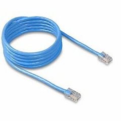 Belkin Cat 5E Patch Cable (A3L78107BLU)