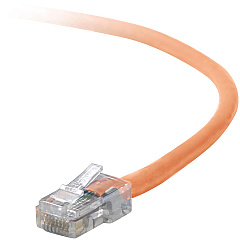 Belkin Cat. 5E Patch Cable (A3L79120ORGS)