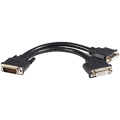 StarTech LFH 59 Male to Dual Female DVI I DMS 59 Cable (DMSDVIDVI1)