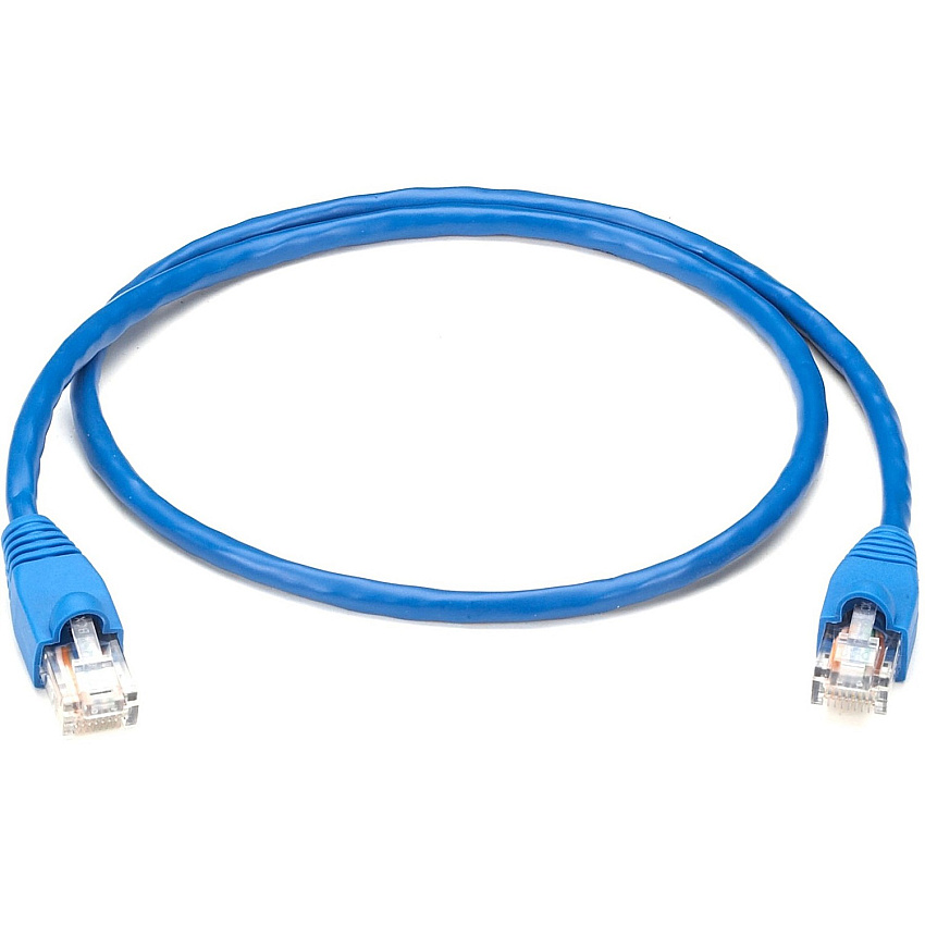 Black Box Cat. 5e UTP Backbone Cable (EYN851MS0002)
