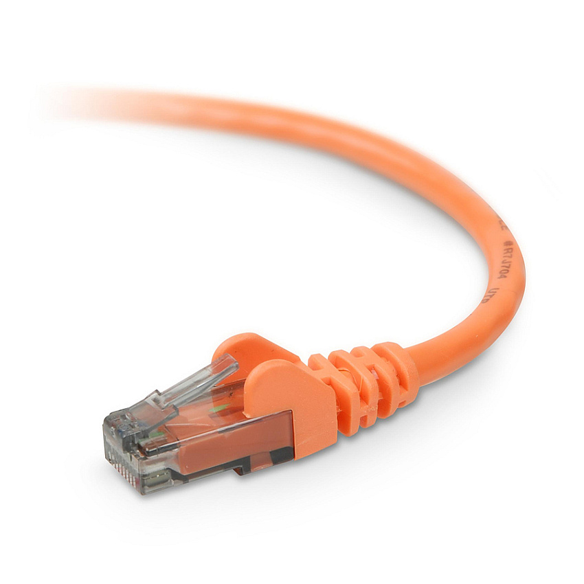 Belkin Cat. 6 UTP Patch Cable (A3L98015ORGS)