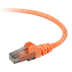 Belkin Cat.6 UTP Patch Cable (A3L98005ORG)