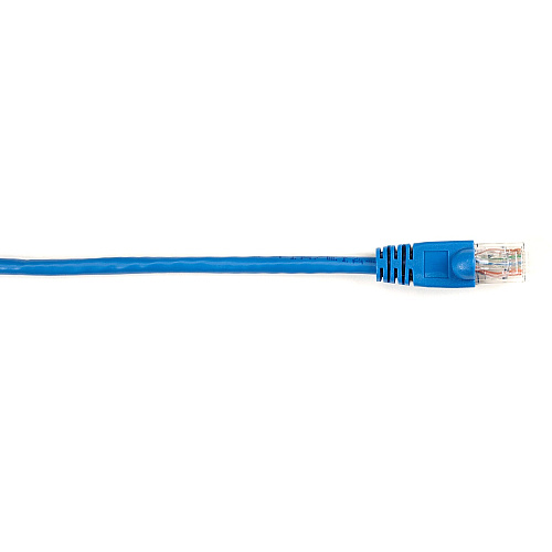 Black Box Connect Cat.6 UTP Patch Network Cable (CAT6PC010BL)