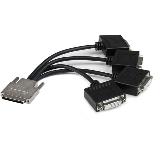 StarTech VHDCI to Quad DVI Splitter Breakout Cable - VHDCI (M) to 4x DVI-D (F) (VHDCI24DVI)