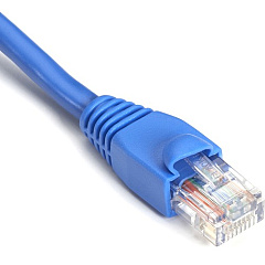 Black Box GigaBase Cat.5e UTP Patch Network Cable (EVNSL8106IN) Black Box GigaBase Cat.5e UTP Patch Network Cable (EVNSL8106IN)