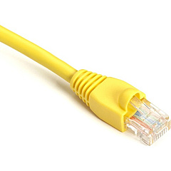 Black Box GigaBase Cat.5e UTP Patch Network Cable (EVNSL8406IN) Black Box GigaBase Cat.5e UTP Patch Network Cable (EVNSL8406IN)