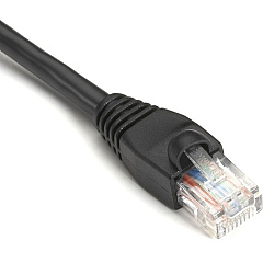 Black Box GigaBase Cat.5e UTP Patch Network Cable (EVNSL8706IN) Black Box GigaBase Cat.5e UTP Patch Network Cable (EVNSL8706IN)