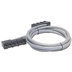 APC Cat5e CMR Data Distribution Cable (DDCC5E011)