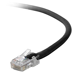 Belkin Cat5e Patch Cable (A3L79102BLKS)