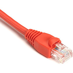 Black Box GigaBase Cat.5e UTP Patch Network Cable (EVNSL8306IN) Black Box GigaBase Cat.5e UTP Patch Network Cable (EVNSL8306IN)