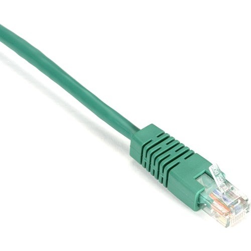 Black Box Gigabase Cat. 5E UTP Patch Cable (EVNSL22E0050)