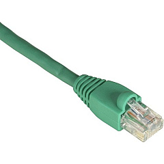 Black Box Gigabase Cat. 5E UTP Patch Cable (EVCRB820020) Black Box Gigabase Cat. 5E UTP Patch Cable (EVCRB820020)