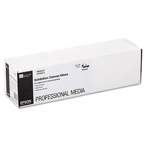 Epson S045241 Exhibition Canvas