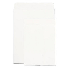 Quality Park Catalog Envelope, #10 1/2, Square Flap, Gummed Closure, 9 x 12, White, 250/Box (41488)