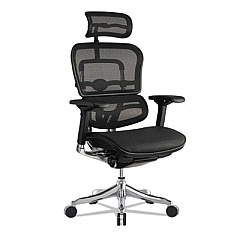 Eurotech Ergohuman Elite High-Back Chair, 18.1" to 21.6" Seat Height, Black (ME22ERGLTN15)