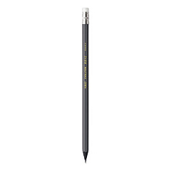 BIC Evolution Pencil, HB (#2), Black Lead, Gray Barrel, 24/Pack (PGEBP241)