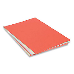 Pacon Assorted Colors Tagboard, 24 x 36, Blue, Canary, Green, Orange, Pink, 100/Pack (5177PK)