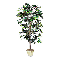 NuDell Artificial Ficus Tree, 6 ft Tall (T7781)