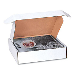The Packaging Wholesalers Front-Lock Deluxe Literature Mailer, Square Flap, Front-Lock Hinged Lid Closure, 12.75 x 12.13 x 3.88, Oyster White, 50/Pack (BSMFL12123)