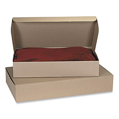 Coastwide Professional Rigid Corrugated Kraft Literature Mailer, Square Flap, Tuck-Tab Hinged Lid Closure, 18 x 12 x 3, Brown Kraft, 25/Bundle (57088)