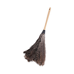 Boardwalk Professional Ostrich Feather Duster, Wood Handle, 20" (BWK20GY)