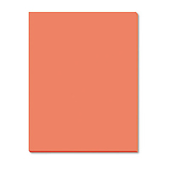 Pacon Riverside Construction Paper, 76 lb Text Weight, 18 x 24, Orange, 50/Pack (103459)
