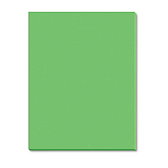 Pacon Riverside Construction Paper, 76 lb Text Weight, 18 x 24, Green, 50/Pack (103461)
