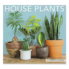 Mead House Plants Wall Calendar, Tranquil Plant Photography, White/Multicolor Sheets, 12-Month (Jan to Dec): 2023 (LME3521023)
