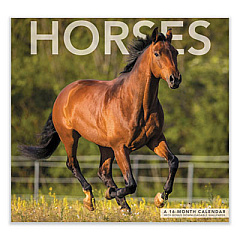 Mead Horses Wall Calendar, Wildlife Photography, 12 x 12, White/Multicolor Sheets, 12-Month (Jan to Dec): 2023 (LME1591023)