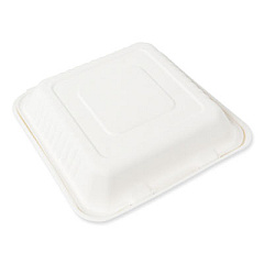 AmerCareRoyal Bagasse PFAS-Free Food Containers, 1-Compartment, 9 x 9 x 3.19, White, Bamboo/Sugarcane, 200/Carton (HL91NPFA)