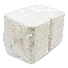 AmerCareRoyal Bagasse PFAS-Free Food Containers, 1-Compartment, 6 x 9 x 3.03, White, Bamboo/Sugarcane, 250/Carton (HL96NPFA)
